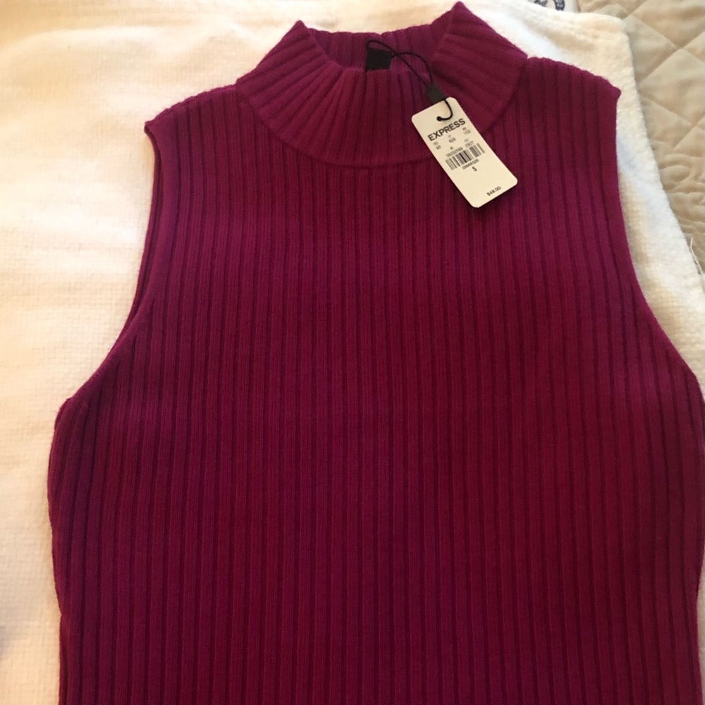 Express Sweater Set (New)